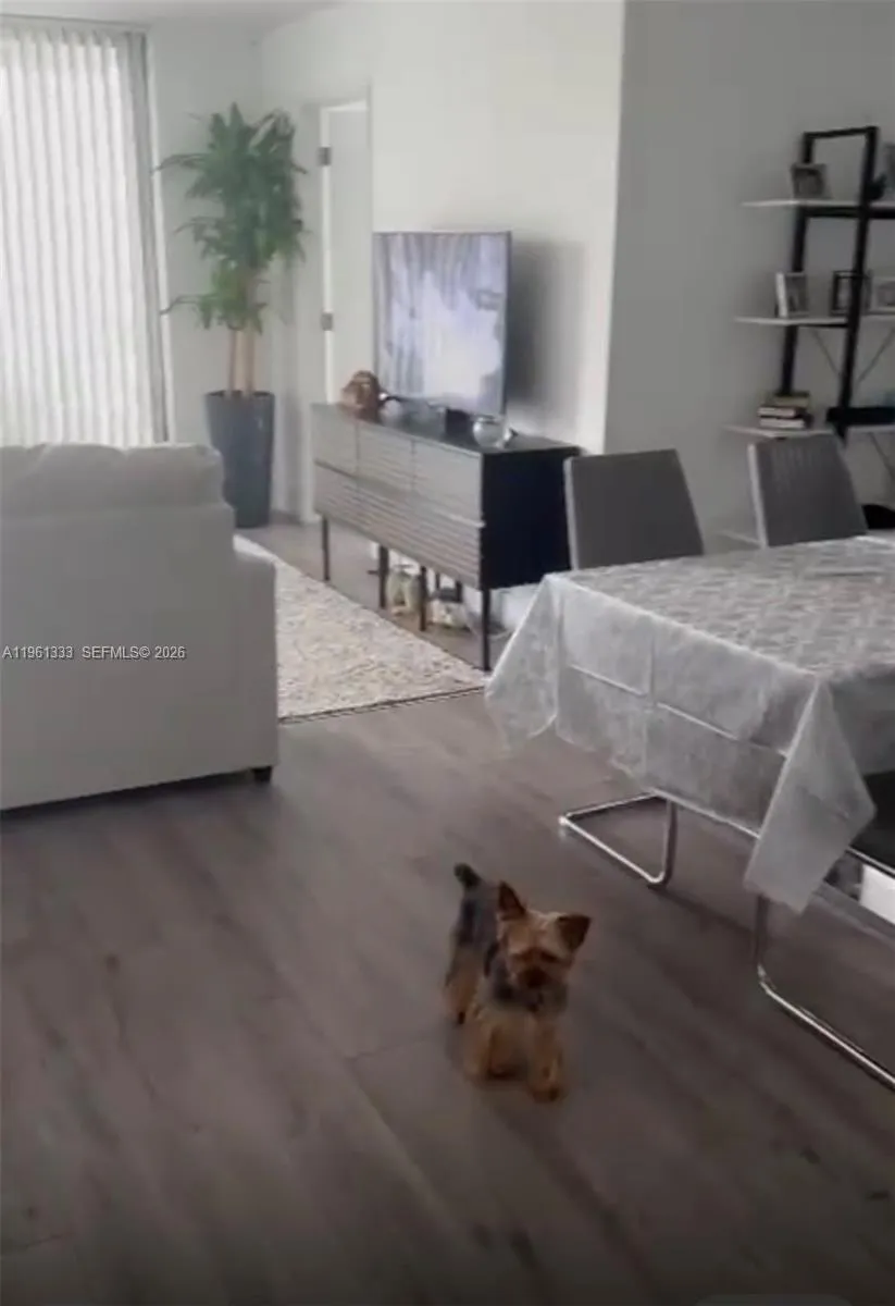 3300 Ne 192nd St 906, Aventura, Florida 33180, Aventura, Florida 33180, 3 Bedrooms Bedrooms, ,2 BathroomsBathrooms,Residential Lease,For Rent,3300 Ne 192nd St 906, Aventura, Florida 33180,A11961333 3300 Ne 192nd St 906, Aventura, Florida 33180, Aventura, Florida 33180, 3 Bedrooms Bedrooms, ,2 BathroomsBathrooms,Residential Lease,For Rent,3300 Ne 192nd St 906, Aventura, Florida 33180,A11961333