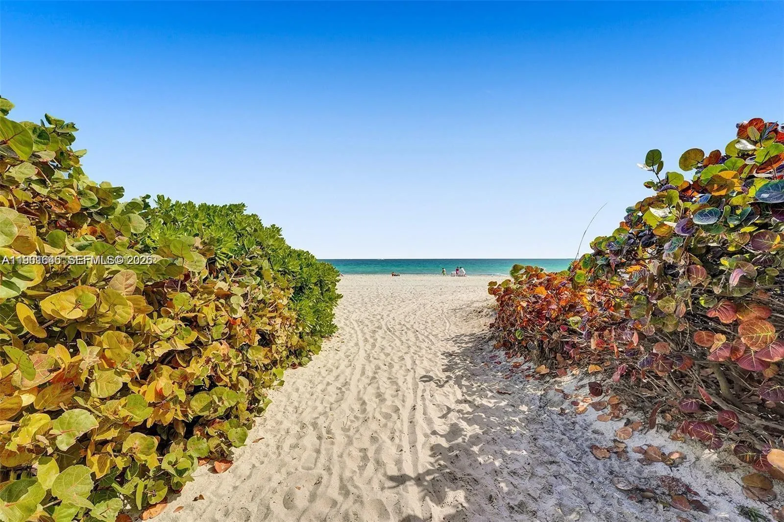 9195 Collins Ave 309, Surfside, Florida 33154, Surfside, Florida 33154, 1 Bedroom Bedrooms, ,1 BathroomBathrooms,Residential,For Sale,9195 Collins Ave 309, Surfside, Florida 33154,A11961646