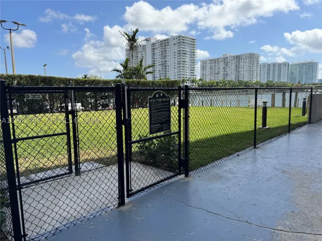 NEW DOG PARK!