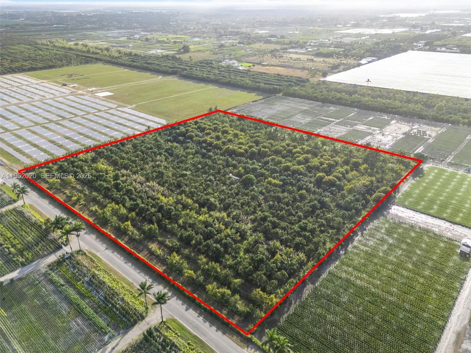 224xx Sw 202 Ave, Homestead, Florida 33170, Homestead, Florida 33170, ,Land,For Sale,224xx Sw 202 Ave, Homestead, Florida 33170,A11962020