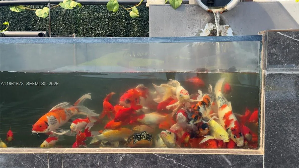 Reverse Osmosis filter inside