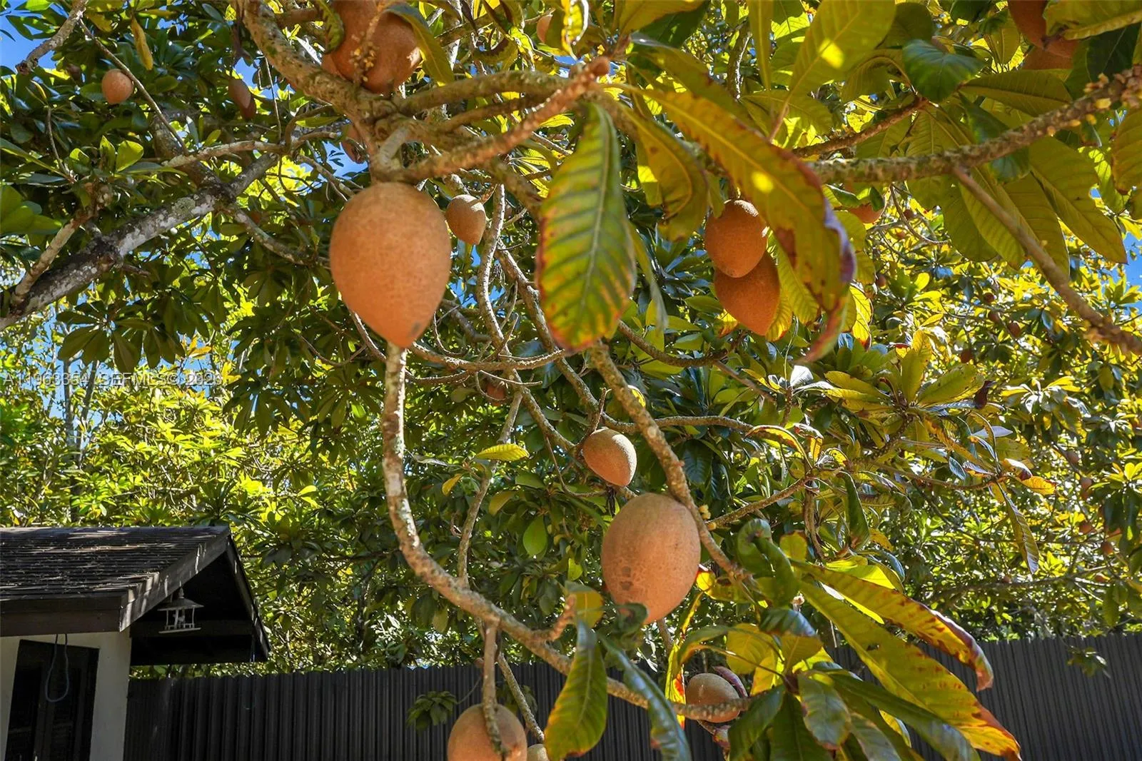 19955 Sw 186th St, Miami, Florida 33187, Miami, Florida 33187, 7 Bedrooms Bedrooms, ,6 BathroomsBathrooms,Residential,For Sale,19955 Sw 186th St, Miami, Florida 33187,A11963354