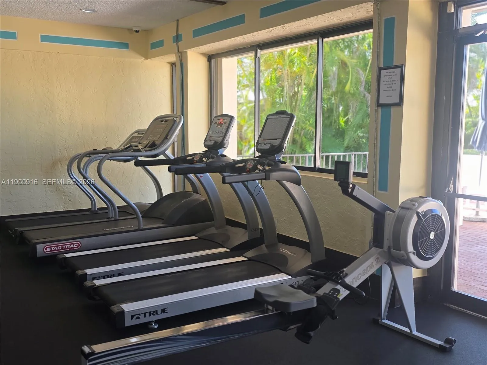 Various cardio machines.