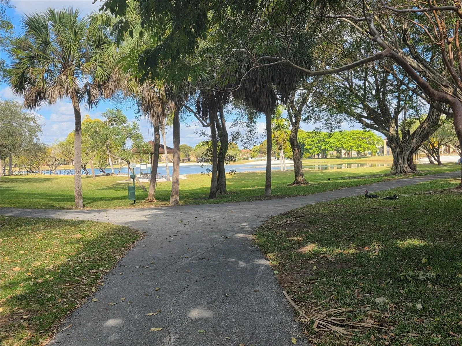 15222 Sw 111th St 15222, Miami, Florida 33196, Miami, Florida 33196, 3 Bedrooms Bedrooms, ,2 BathroomsBathrooms,Residential Lease,For Rent,15222 Sw 111th St 15222, Miami, Florida 33196,A11964133