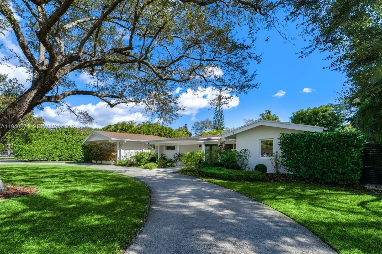 Mature tree-lined driveway