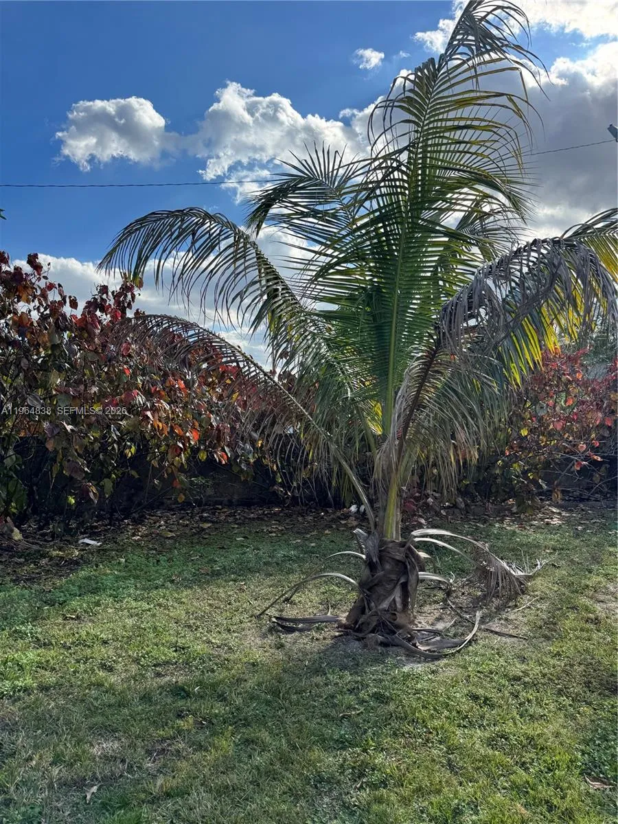 36 Nw 151st St, Miami, Florida 33169, Miami, Florida 33169, ,Residential Income,For Sale,36 Nw 151st St, Miami, Florida 33169,A11964838