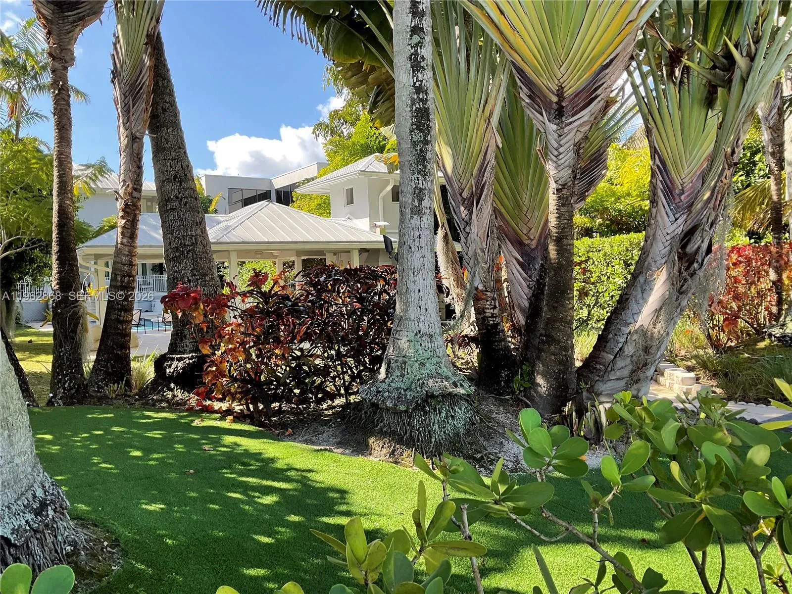 Looking back from the dock