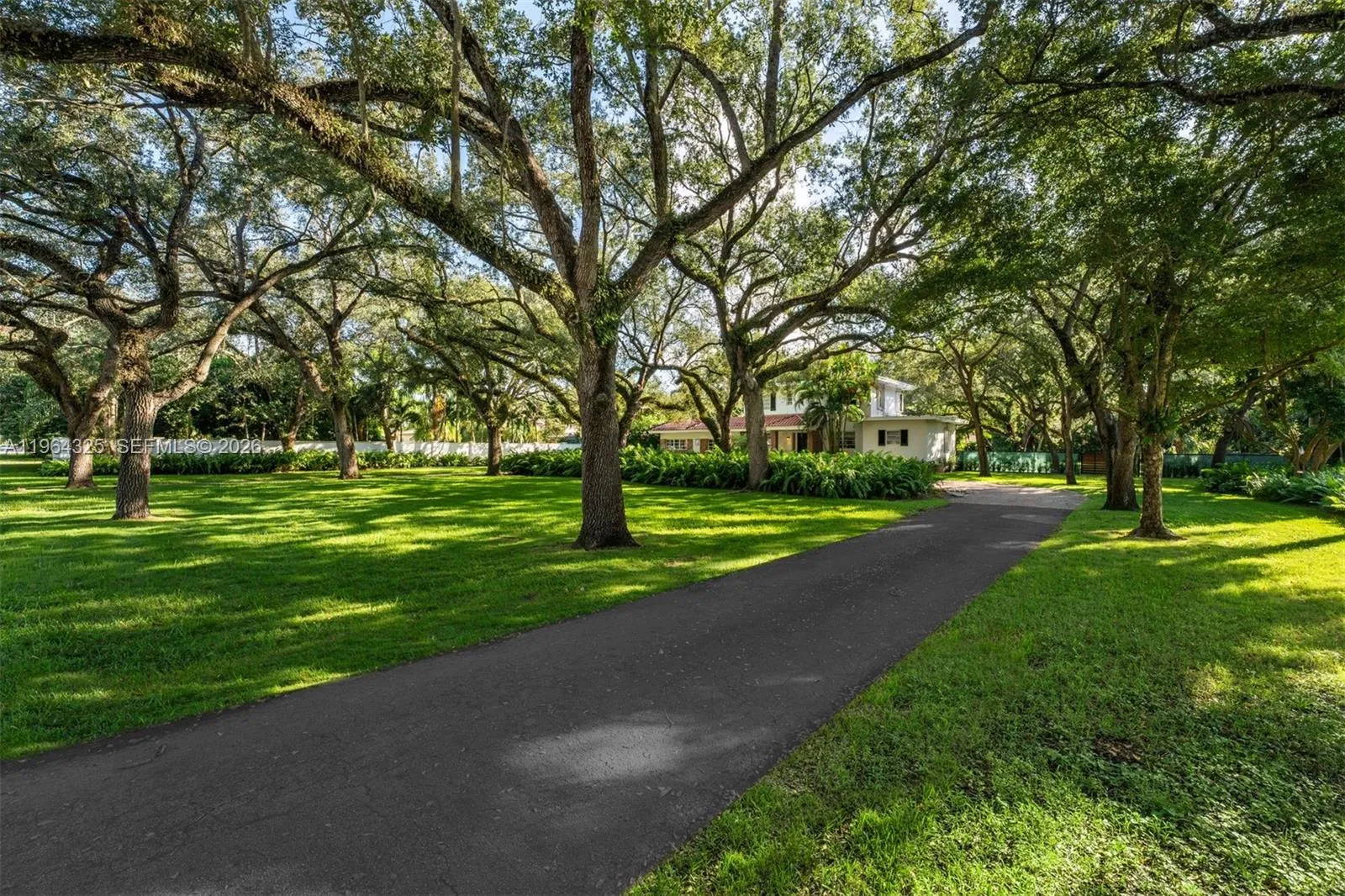 7301 Ponce De Leon Rd, Miami, Florida 33143, Miami, Florida 33143, ,Land,For Sale,7301 Ponce De Leon Rd, Miami, Florida 33143,A11964325