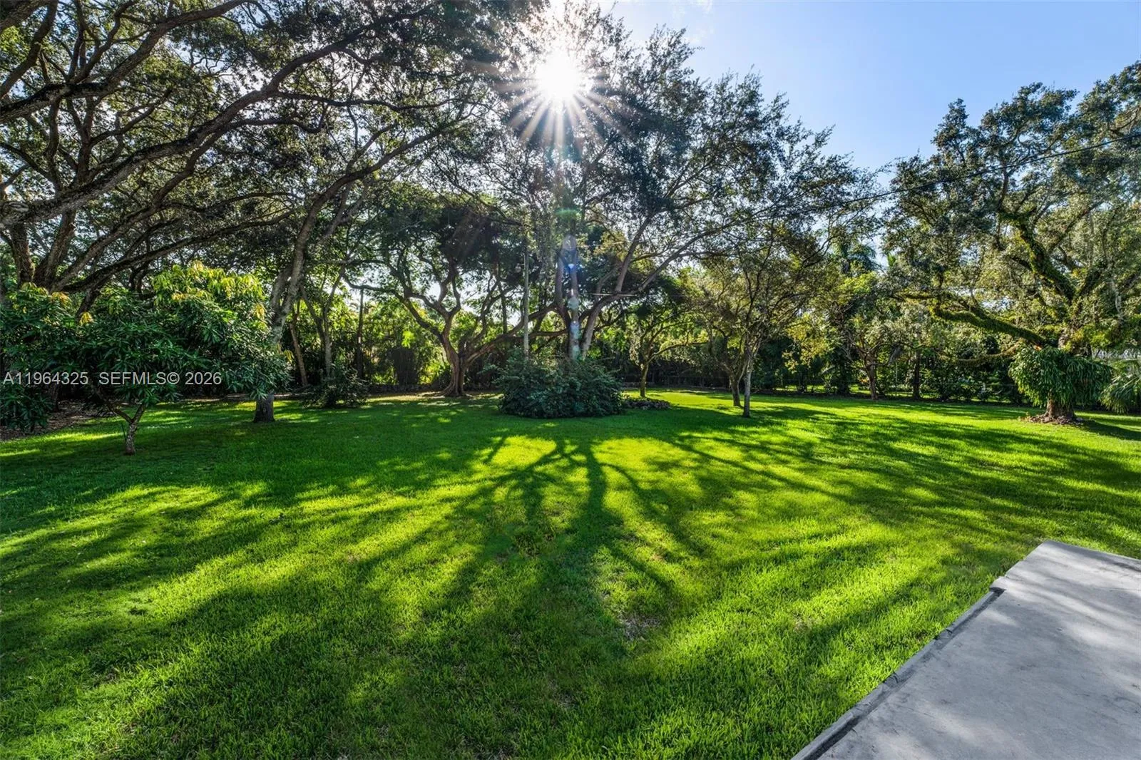 7301 Ponce De Leon Rd, Miami, Florida 33143, Miami, Florida 33143, ,Land,For Sale,7301 Ponce De Leon Rd, Miami, Florida 33143,A11964325