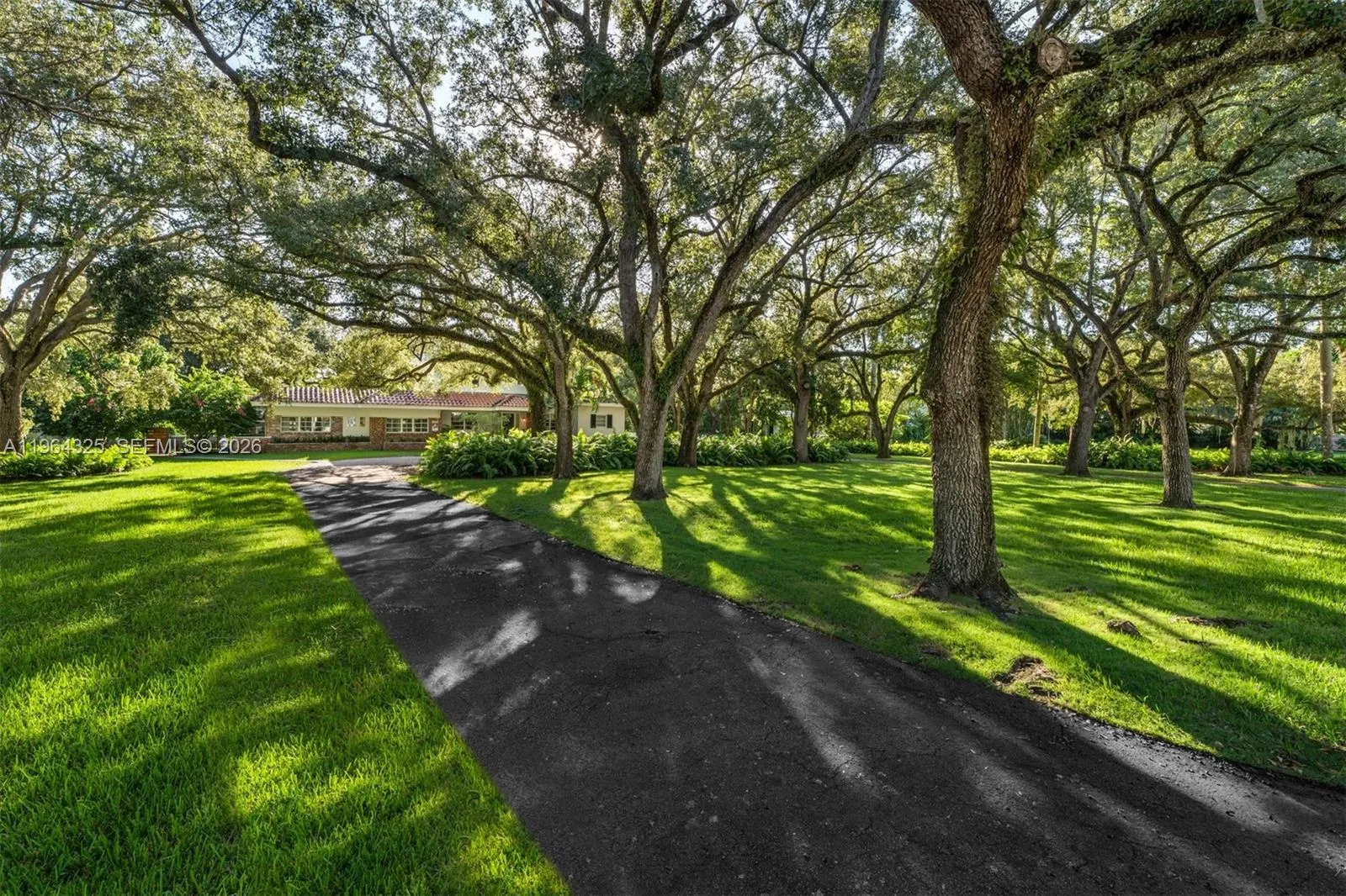 7301 Ponce De Leon Rd, Miami, Florida 33143, Miami, Florida 33143, ,Land,For Sale,7301 Ponce De Leon Rd, Miami, Florida 33143,A11964325