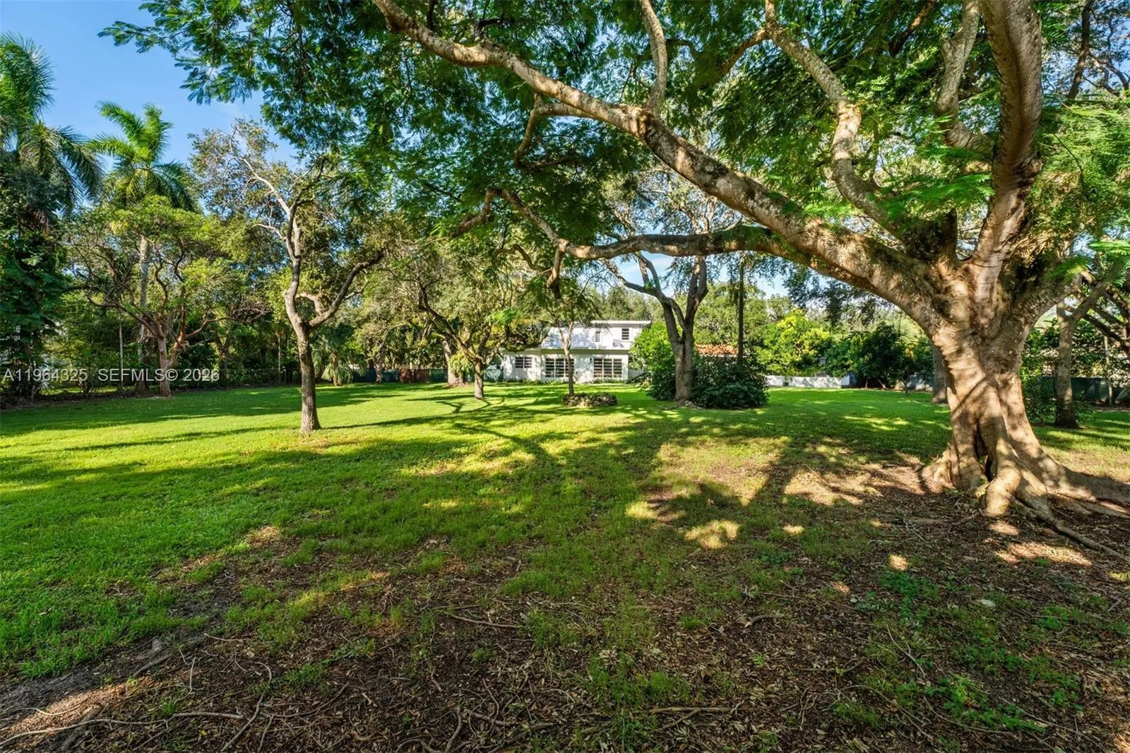 7301 Ponce De Leon Rd, Miami, Florida 33143, Miami, Florida 33143, ,Land,For Sale,7301 Ponce De Leon Rd, Miami, Florida 33143,A11964325