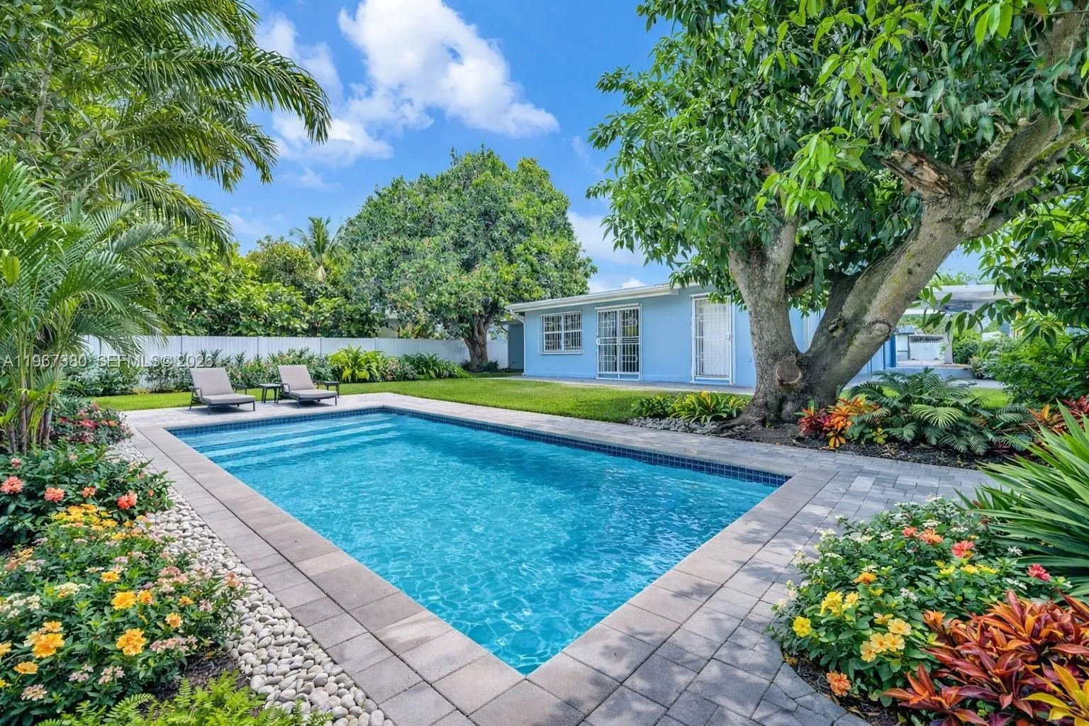 Photo for your Imagination !