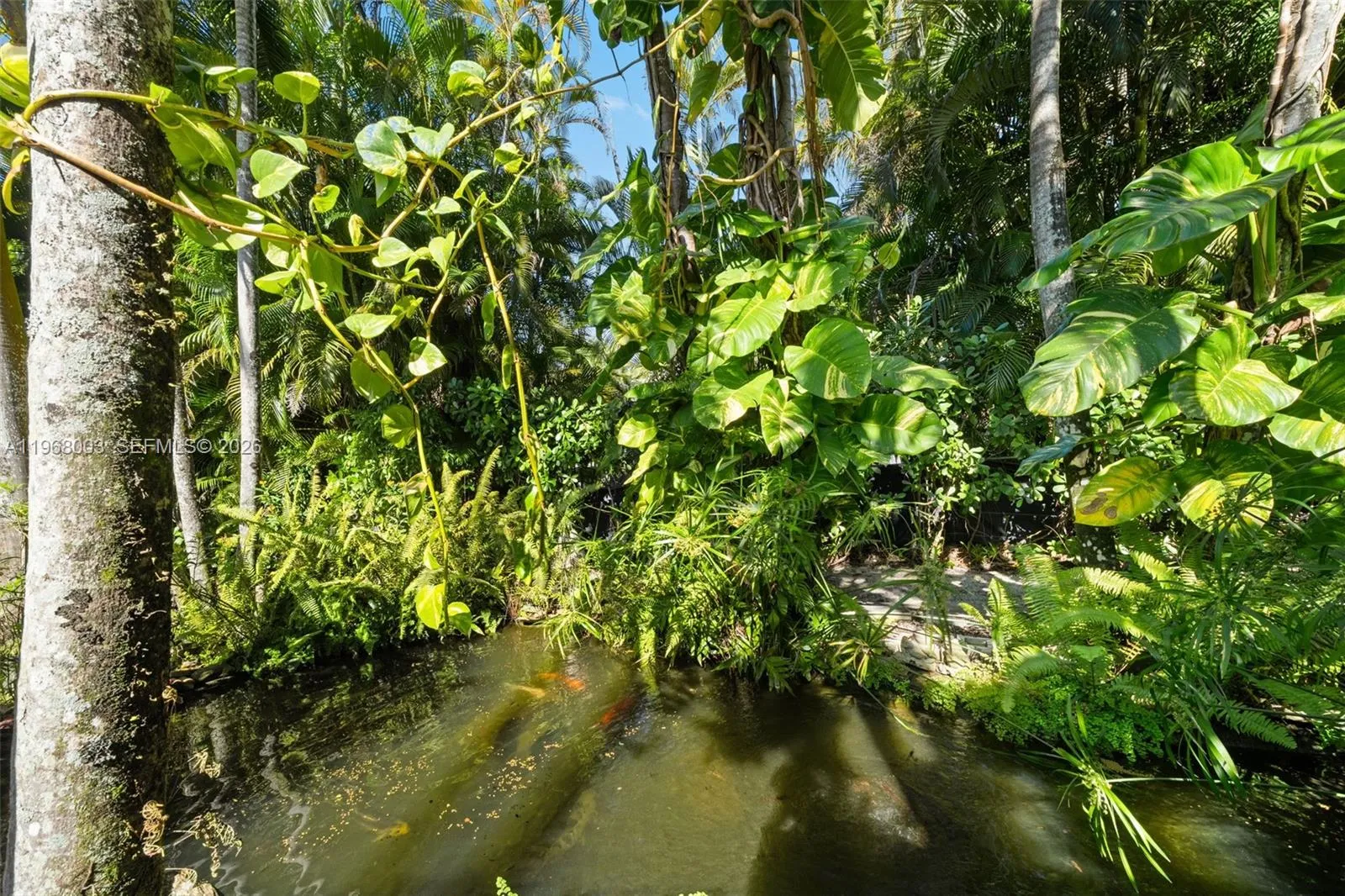 11220 Sw 67th Ave, Pinecrest, Florida 33156, Pinecrest, Florida 33156, 4 Bedrooms Bedrooms, ,4 BathroomsBathrooms,Residential,For Sale,11220 Sw 67th Ave, Pinecrest, Florida 33156,A11968003