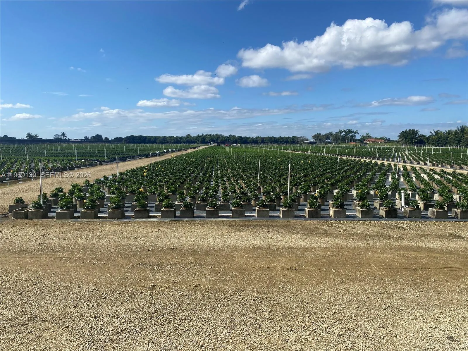 Richards, Homestead, Florida 33031, Homestead, Florida 33031, ,Land,For Sale,Richards, Homestead, Florida 33031,A11969139