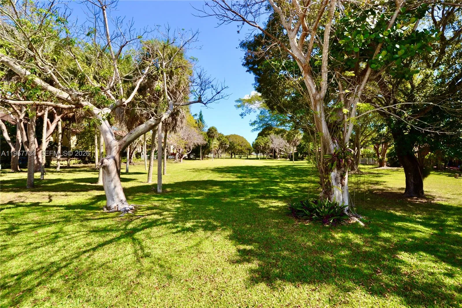15115 Sw 109th St, Miami, Florida 33196, Miami, Florida 33196, 3 Bedrooms Bedrooms, ,2 BathroomsBathrooms,Residential,For Sale,15115 Sw 109th St, Miami, Florida 33196,A11967734