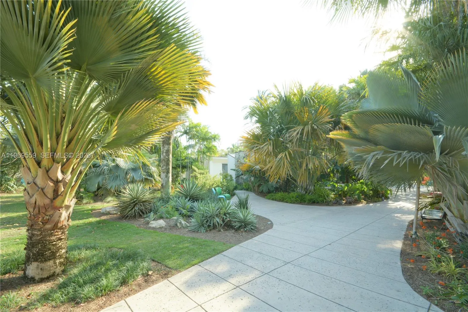 Botanical Garden Right Across The Street