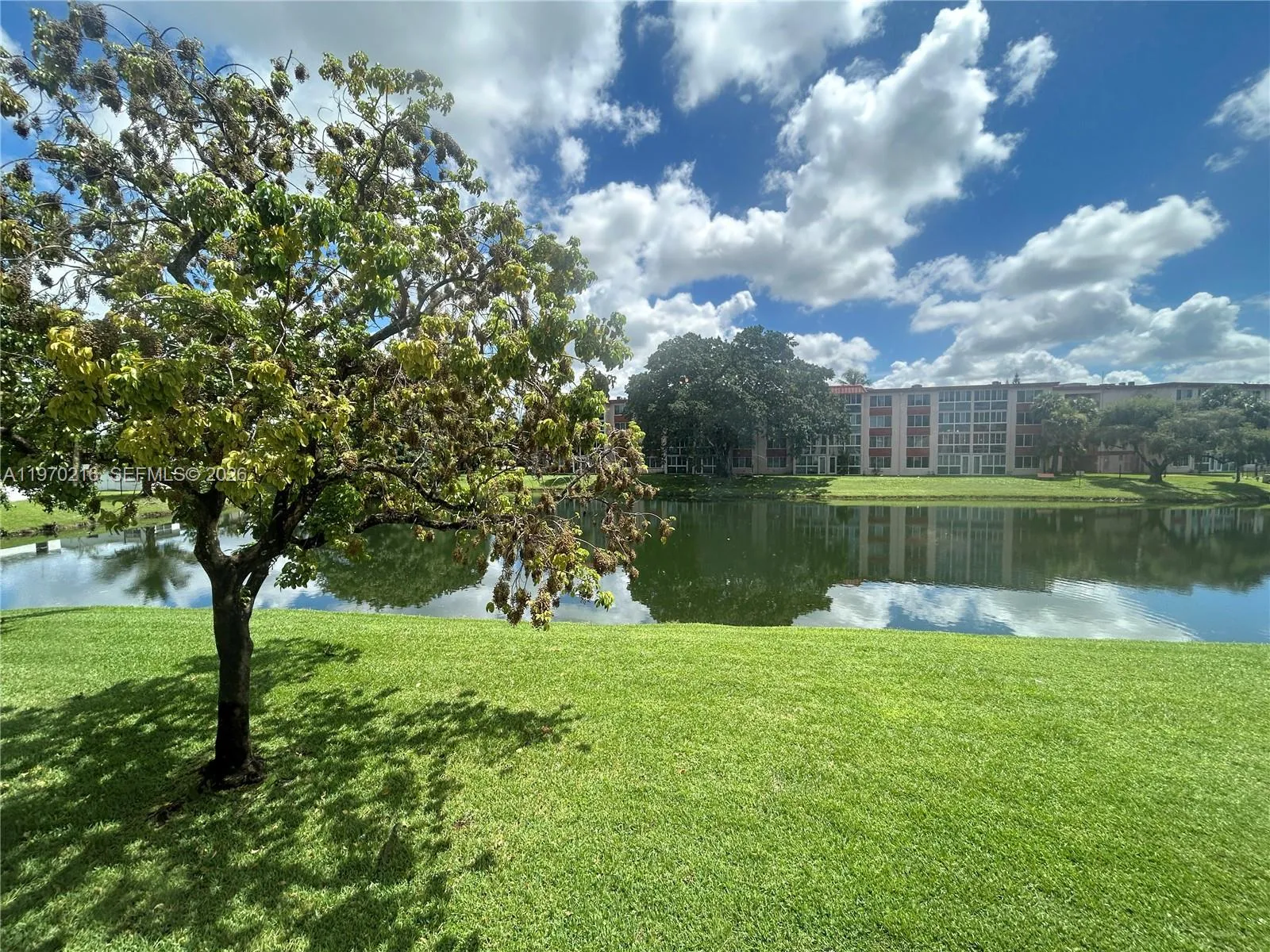 1080 Del Lago Cir 202, Sunrise, Florida 33313, Sunrise, Florida 33313, 2 Bedrooms Bedrooms, ,2 BathroomsBathrooms,Residential,For Sale,1080 Del Lago Cir 202, Sunrise, Florida 33313,A11970216