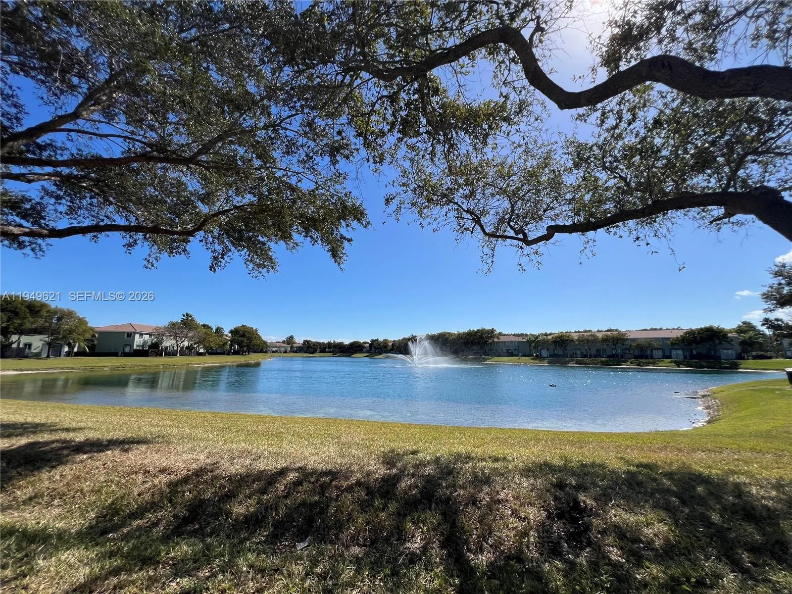 Great open area with lake