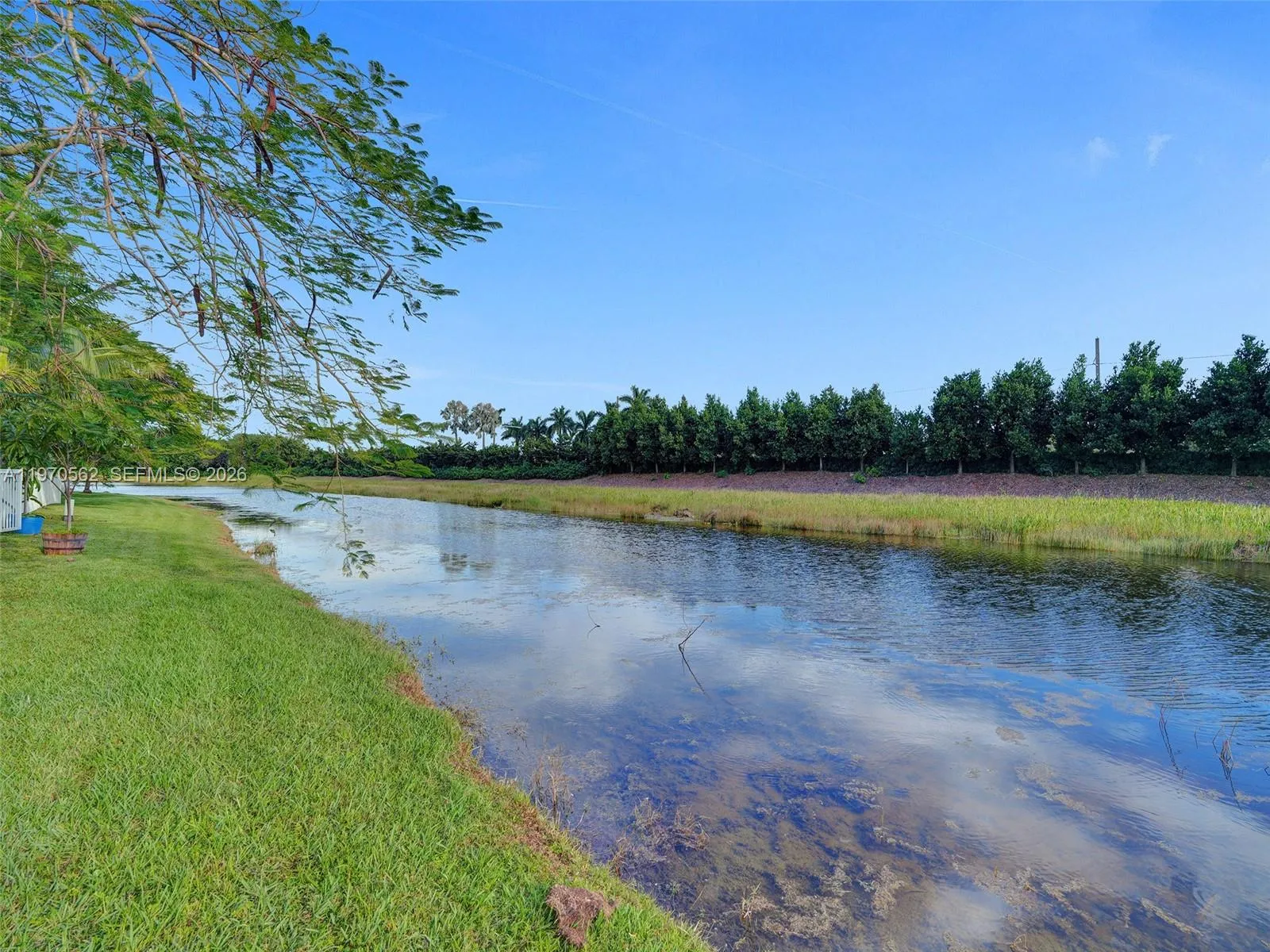 488 Conservation Dr, Weston, Florida 33327, Weston, Florida 33327, 4 Bedrooms Bedrooms, ,2 BathroomsBathrooms,Residential Lease,For Rent,488 Conservation Dr, Weston, Florida 33327,A11970562