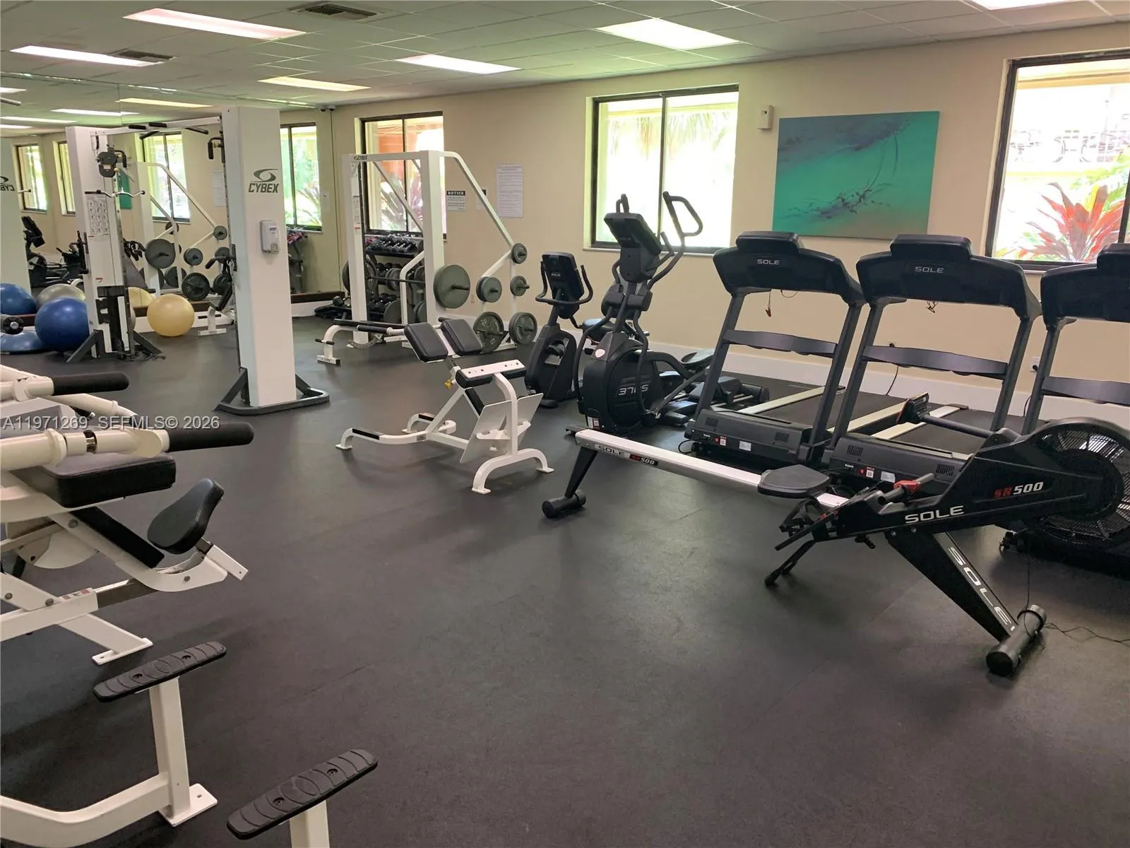 13120 Sw 92nd Ave B-414, Miami, Florida 33176, Miami, Florida 33176, 1 Bedroom Bedrooms, ,1 BathroomBathrooms,Residential Lease,For Rent,13120 Sw 92nd Ave B-414, Miami, Florida 33176,A11971269