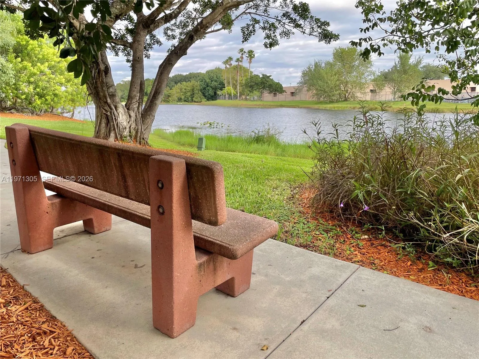 1540 Seabay Rd, Weston, Florida 33326, Weston, Florida 33326, 3 Bedrooms Bedrooms, ,2 BathroomsBathrooms,Residential Lease,For Rent,1540 Seabay Rd, Weston, Florida 33326,A11971305