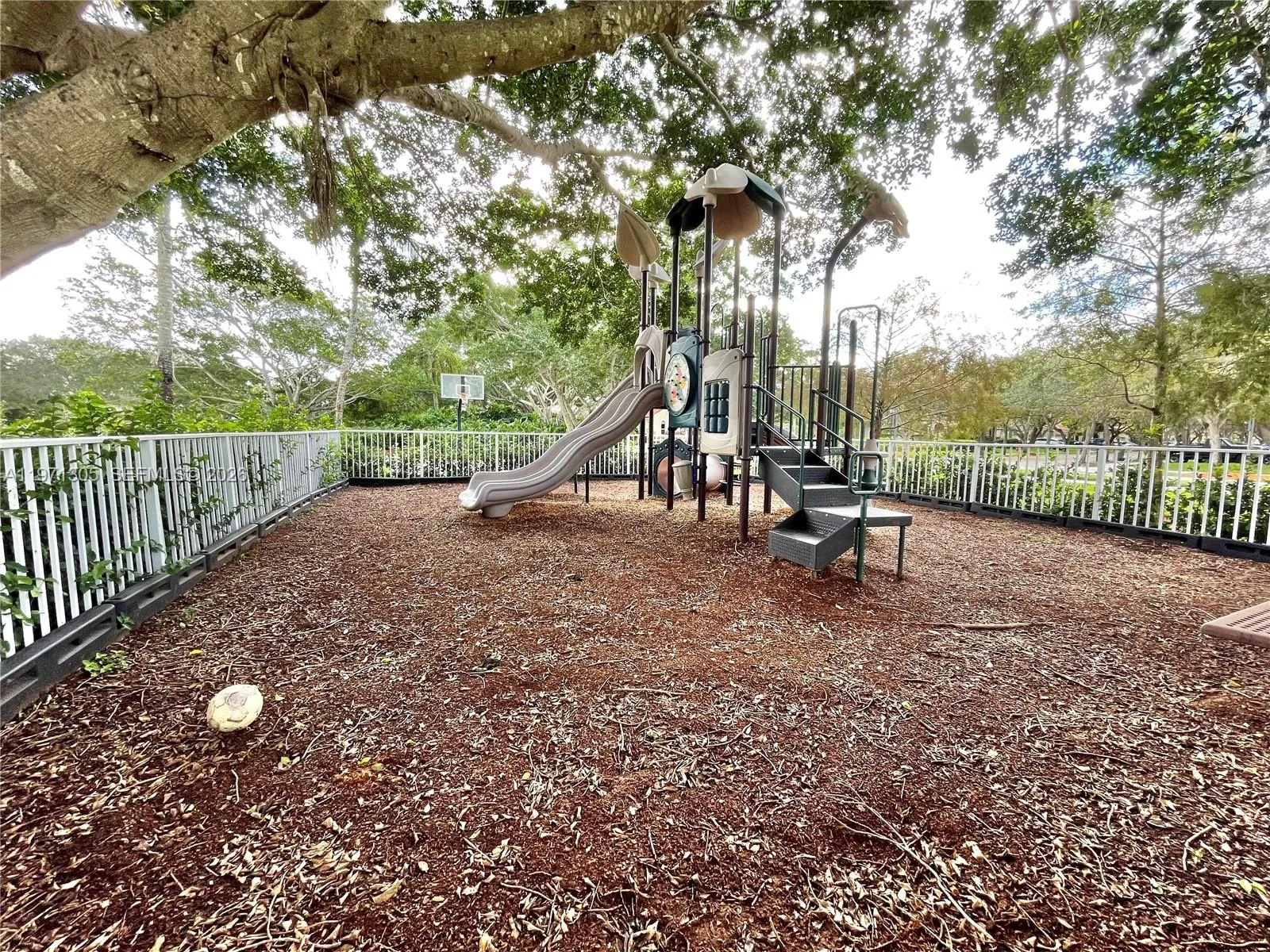 1540 Seabay Rd, Weston, Florida 33326, Weston, Florida 33326, 3 Bedrooms Bedrooms, ,2 BathroomsBathrooms,Residential Lease,For Rent,1540 Seabay Rd, Weston, Florida 33326,A11971305