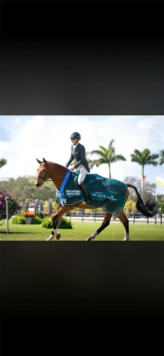 2625 Sw 148th Ave, Davie, Florida 33331, Davie, Florida 33331, 8 Bedrooms Bedrooms, ,5 BathroomsBathrooms,Residential,For Sale,2625 Sw 148th Ave, Davie, Florida 33331,A11969541