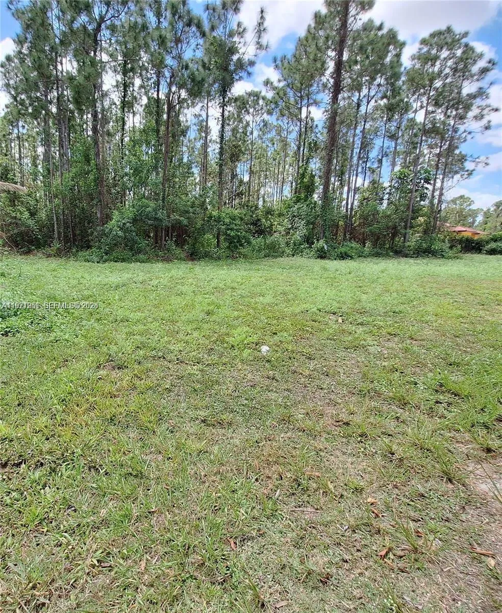 19310 Sw 134th St, Homestead, Florida 33034, Homestead, Florida 33034, ,Land,For Sale,19310 Sw 134th St, Homestead, Florida 33034,A11971951