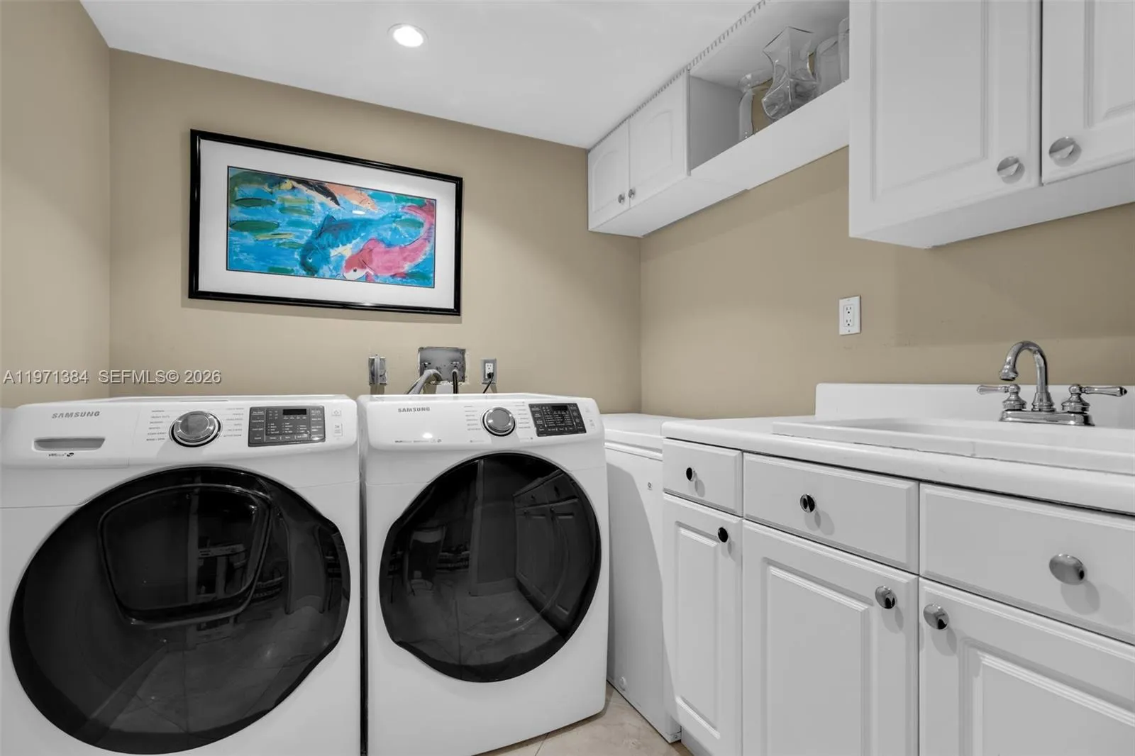 Desicated expansive Laundry room