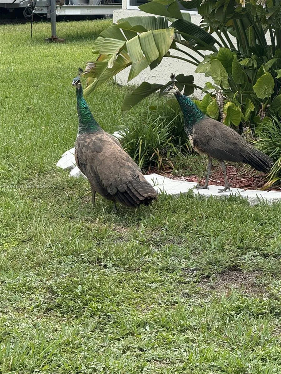 17640 Old Cutler Rd, Palmetto Bay, Florida 33157, Palmetto Bay, Florida 33157, 5 Bedrooms Bedrooms, ,3 BathroomsBathrooms,Residential,For Sale,17640 Old Cutler Rd, Palmetto Bay, Florida 33157,A11971601