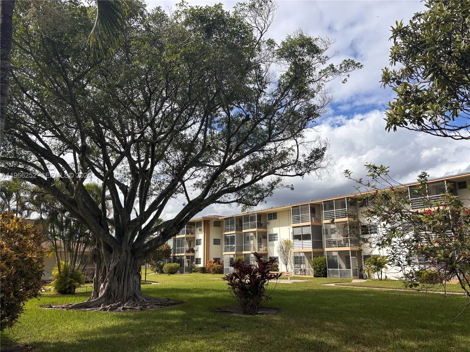 16900 Ne 14th Ave 111, Miami, Florida 33162, Miami, Florida 33162, 1 Bedroom Bedrooms, ,1 BathroomBathrooms,Residential,For Sale,16900 Ne 14th Ave 111, Miami, Florida 33162,A11966252