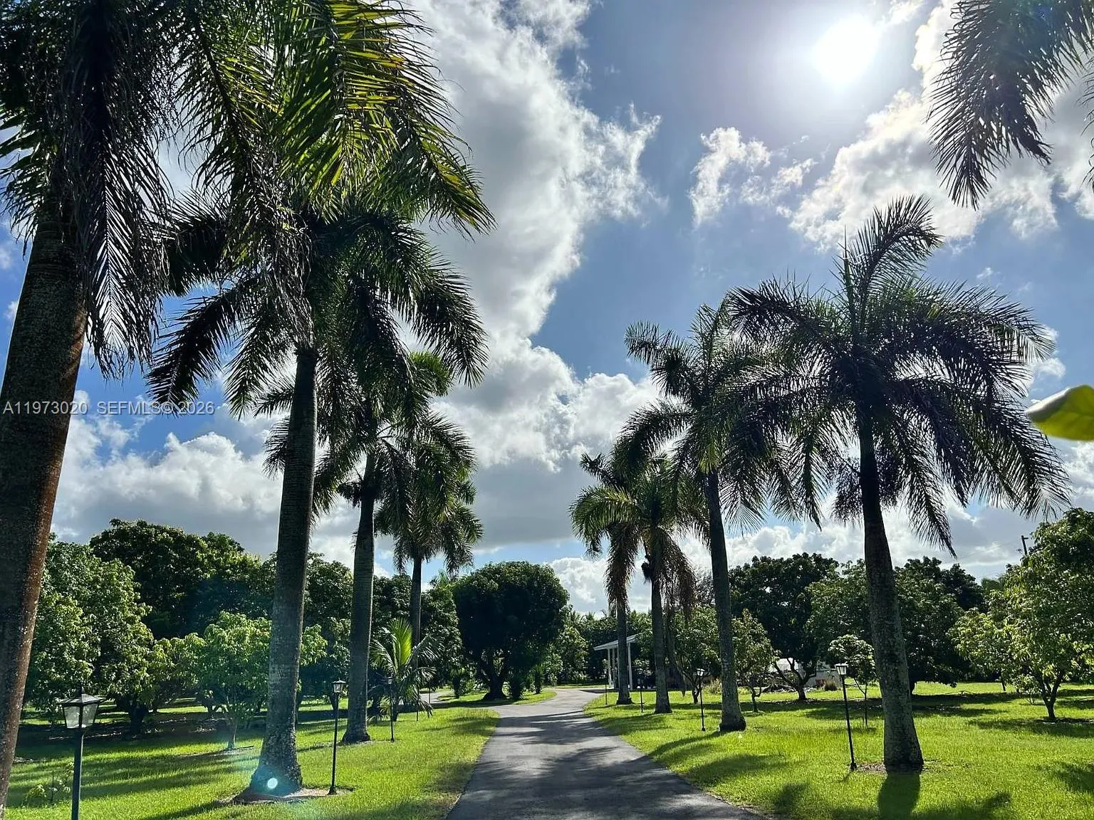 26800 Sw 202nd Ave, Homestead, Florida 33031, Homestead, Florida 33031, 4 Bedrooms Bedrooms, ,6 BathroomsBathrooms,Residential,For Sale,26800 Sw 202nd Ave, Homestead, Florida 33031,A11973020