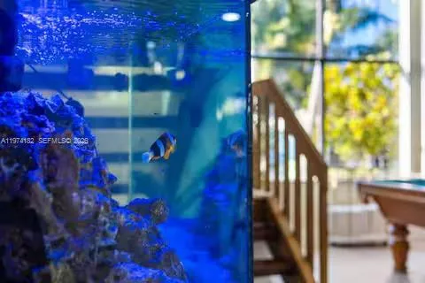 Living underwater without getting wet – this massive aquarium brings the ocean indoors while you shoot pool outside!!