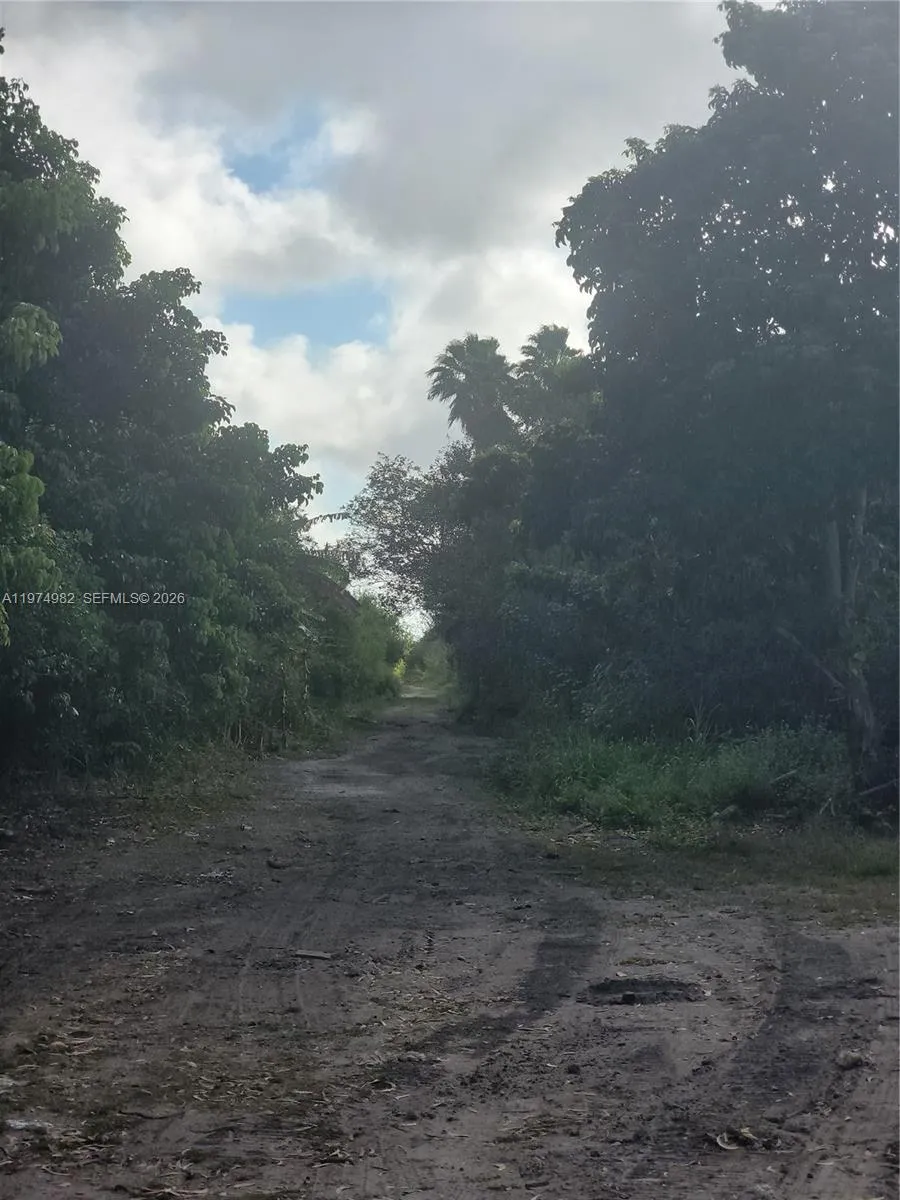 18150 Sw 368th St, Homestead, Florida 33034, Homestead, Florida 33034, ,Land,For Sale,18150 Sw 368th St, Homestead, Florida 33034,A11974982