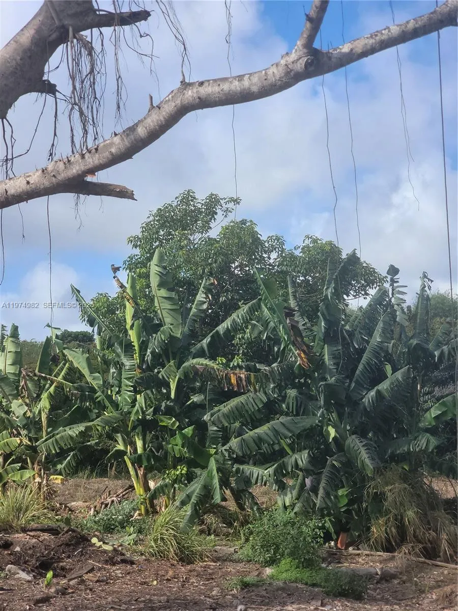 18150 Sw 368th St, Homestead, Florida 33034, Homestead, Florida 33034, ,Land,For Sale,18150 Sw 368th St, Homestead, Florida 33034,A11974982