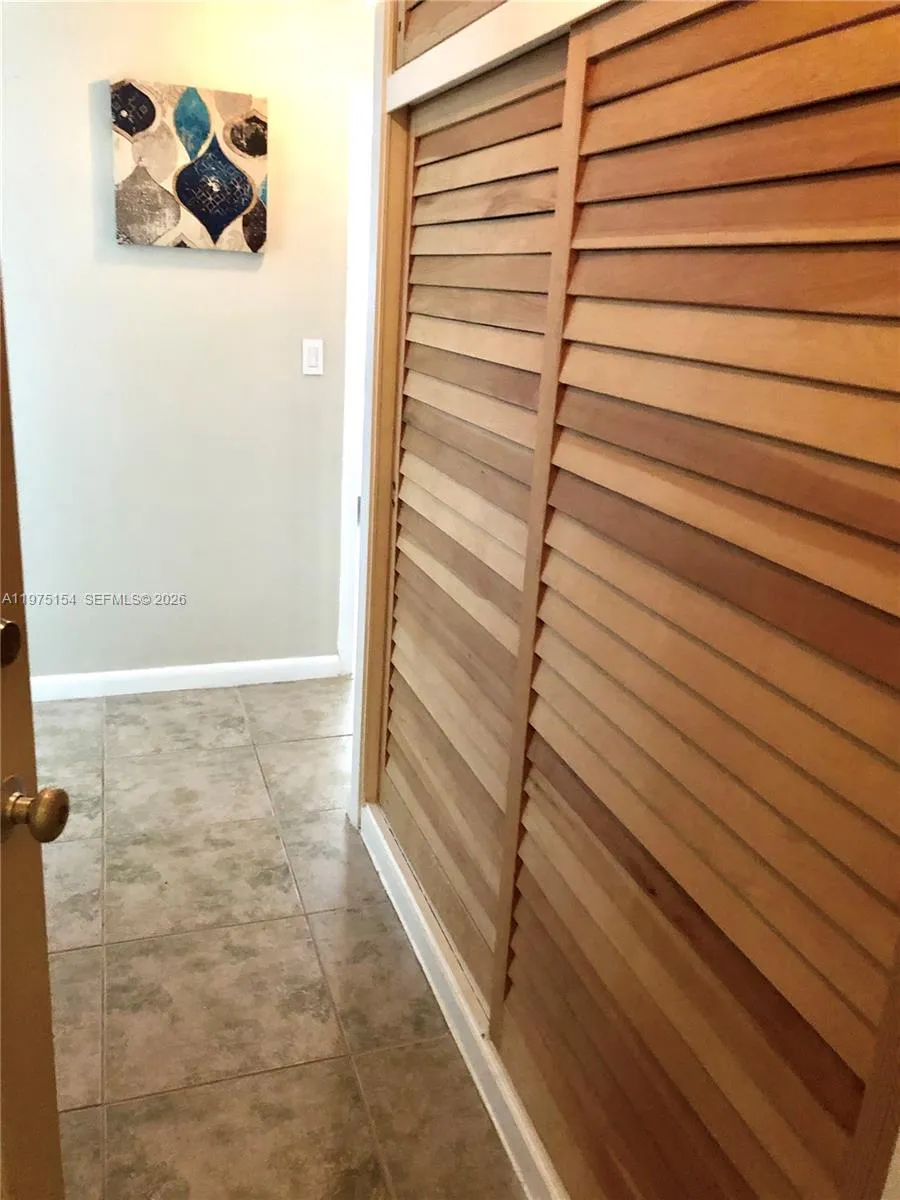 Entrance Big Closets on both sides (Painting not included)