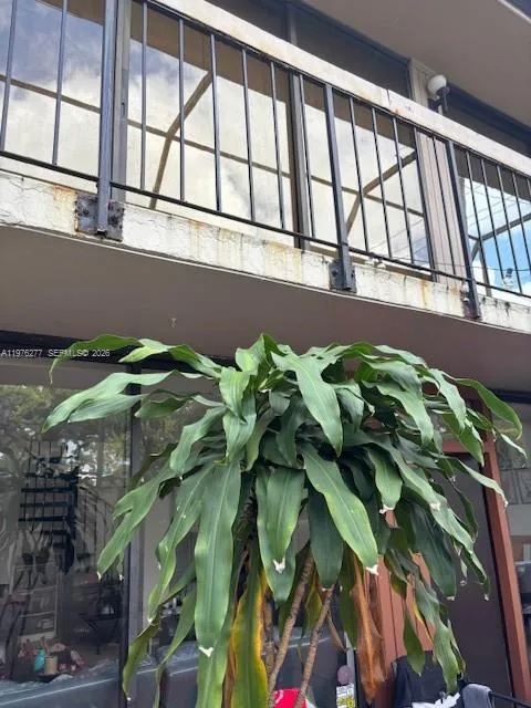 3190 Bird Ave 15, Coconut Grove, Florida 33133, Coconut Grove, Florida 33133, 2 Bedrooms Bedrooms, ,1 BathroomBathrooms,Residential Lease,For Rent,3190 Bird Ave 15, Coconut Grove, Florida 33133,A11976277