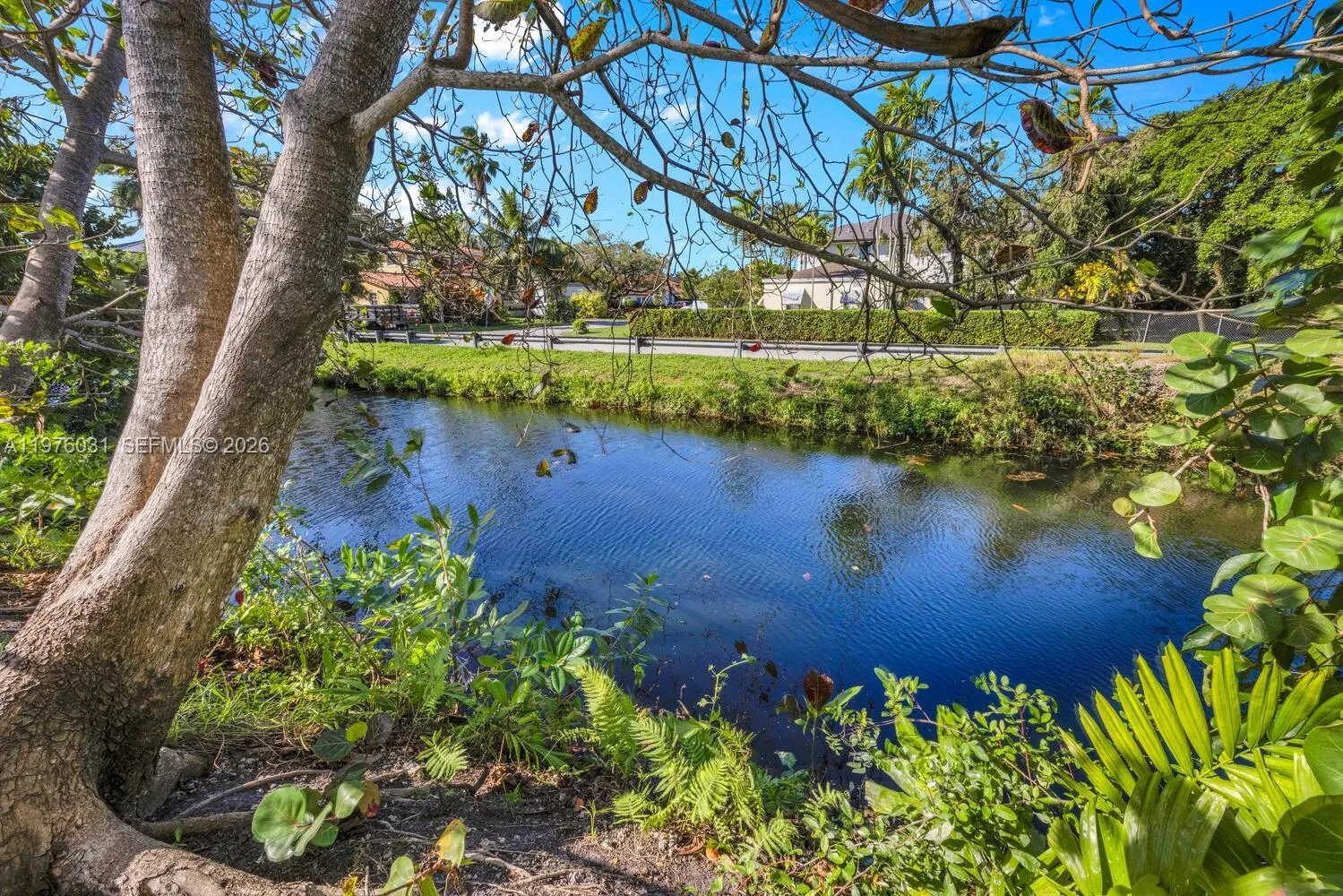 8230 Sw 63rd Pl, Miami, Florida 33143, Miami, Florida 33143, 3 Bedrooms Bedrooms, ,2 BathroomsBathrooms,Residential Lease,For Rent,8230 Sw 63rd Pl, Miami, Florida 33143,A11976031