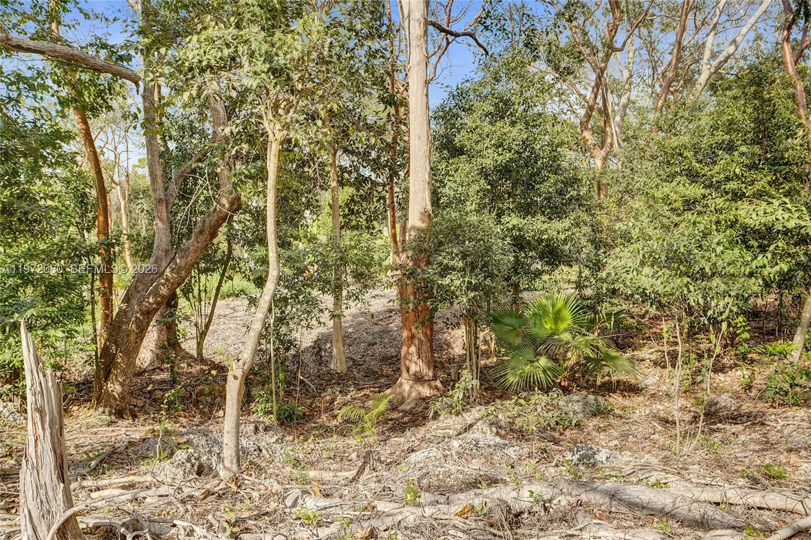 17150 Sw 264th St, Miami, Florida 33031, Miami, Florida 33031, ,Land,For Sale,17150 Sw 264th St, Miami, Florida 33031,A11972080