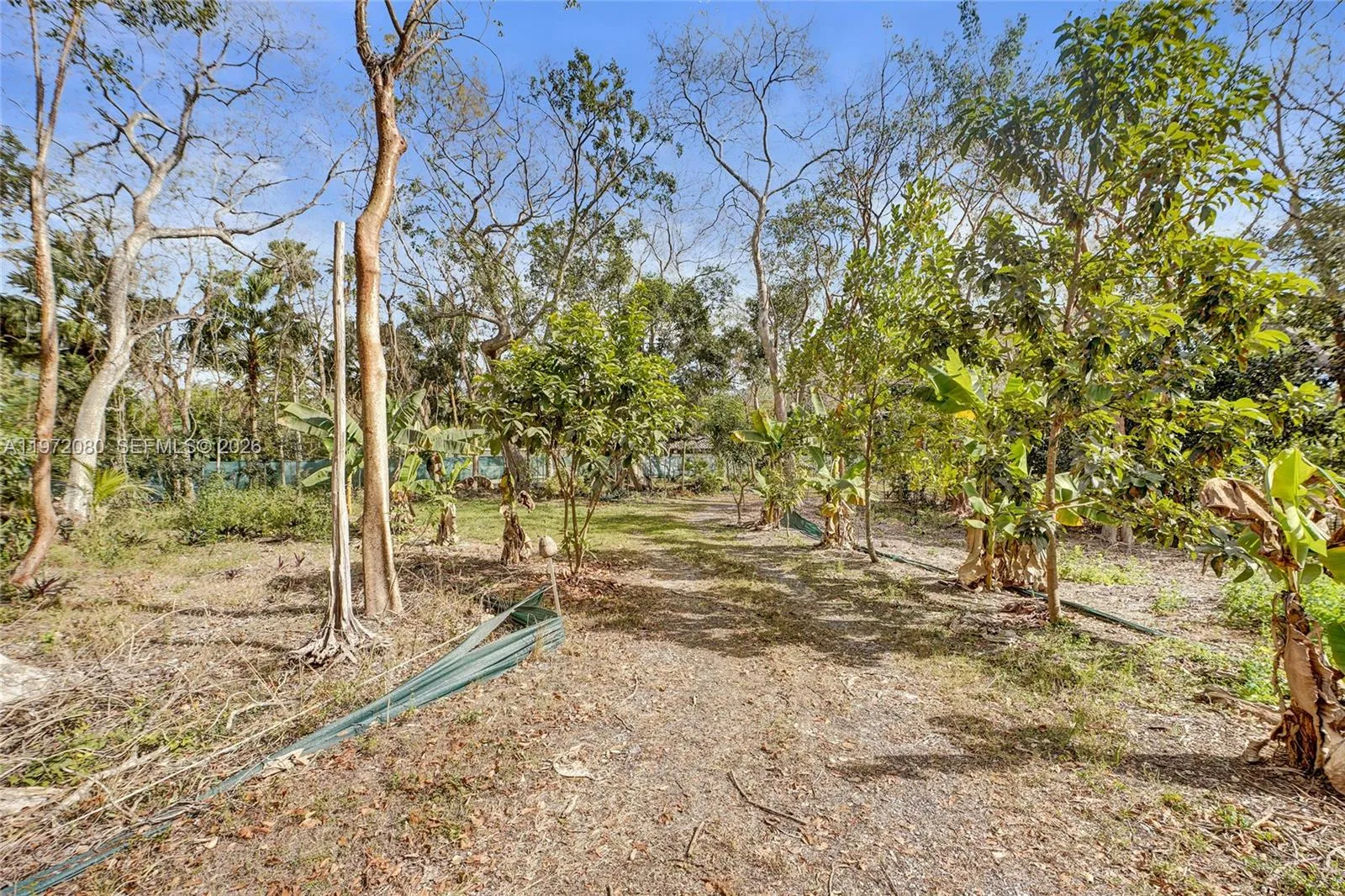 17150 Sw 264th St, Miami, Florida 33031, Miami, Florida 33031, ,Land,For Sale,17150 Sw 264th St, Miami, Florida 33031,A11972080