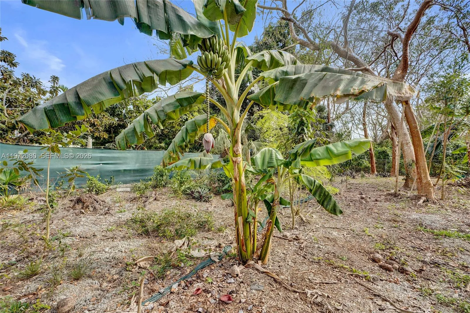 17150 Sw 264th St, Miami, Florida 33031, Miami, Florida 33031, ,Land,For Sale,17150 Sw 264th St, Miami, Florida 33031,A11972080