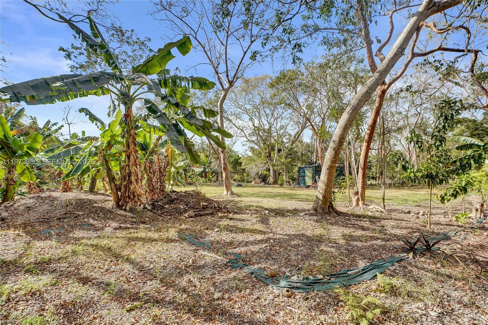 17150 Sw 264th St, Miami, Florida 33031, Miami, Florida 33031, ,Land,For Sale,17150 Sw 264th St, Miami, Florida 33031,A11972080