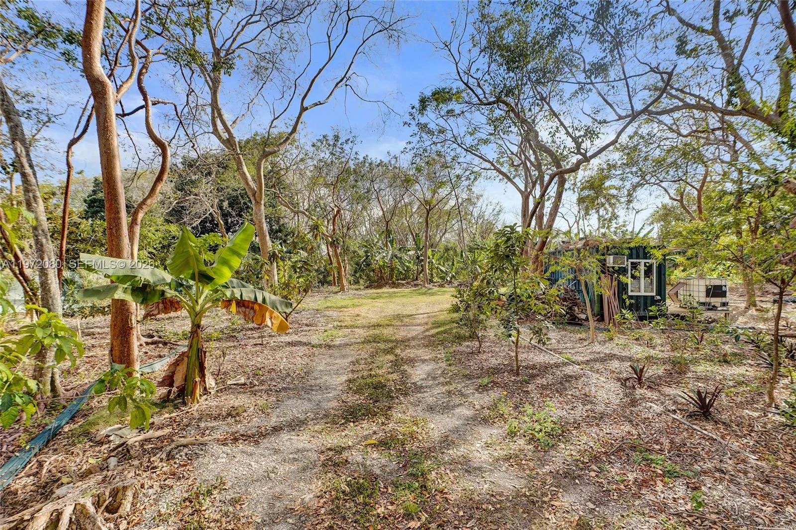 17150 Sw 264th St, Miami, Florida 33031, Miami, Florida 33031, ,Land,For Sale,17150 Sw 264th St, Miami, Florida 33031,A11972080