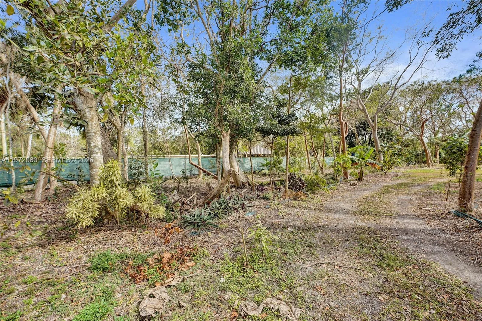 17150 Sw 264th St, Miami, Florida 33031, Miami, Florida 33031, ,Land,For Sale,17150 Sw 264th St, Miami, Florida 33031,A11972080