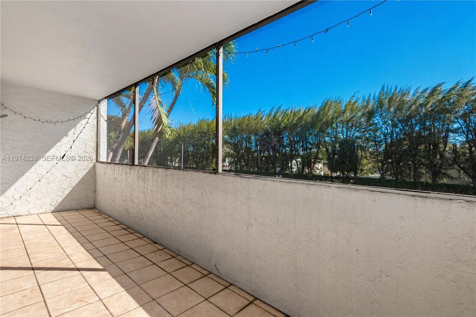 This part of the balcony is just outside of the sliding door from the living room