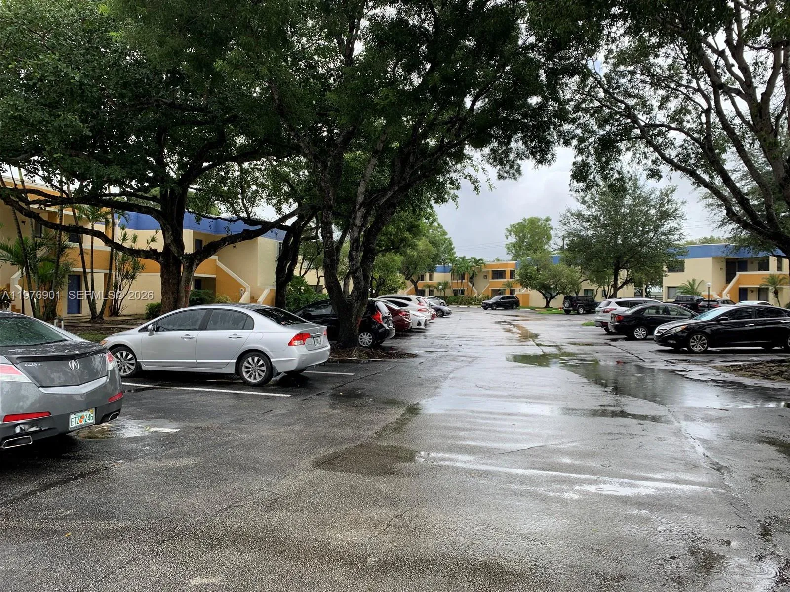 183 Lakeview Dr 203, Weston, Florida 33326, Weston, Florida 33326, 2 Bedrooms Bedrooms, ,2 BathroomsBathrooms,Residential,For Sale,183 Lakeview Dr 203, Weston, Florida 33326,A11976901