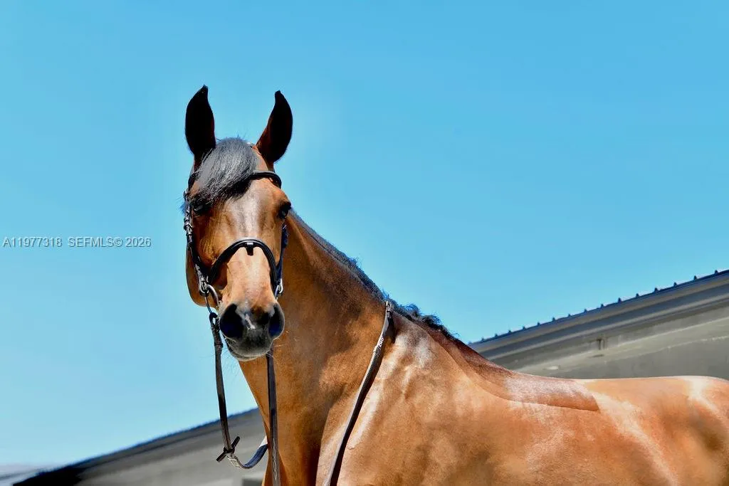 Courtesy of Talda Photography.