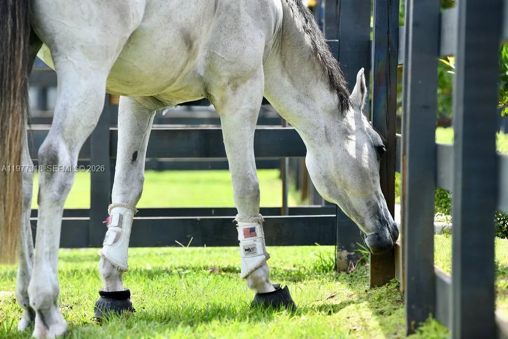 Courtesy of Talda Photography.