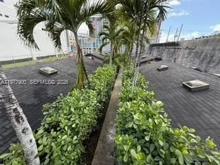 118 Nw 24th St, Miami, Florida 33127, Miami, Florida 33127, ,Residential Income,For Sale,118 Nw 24th St, Miami, Florida 33127,A11977900