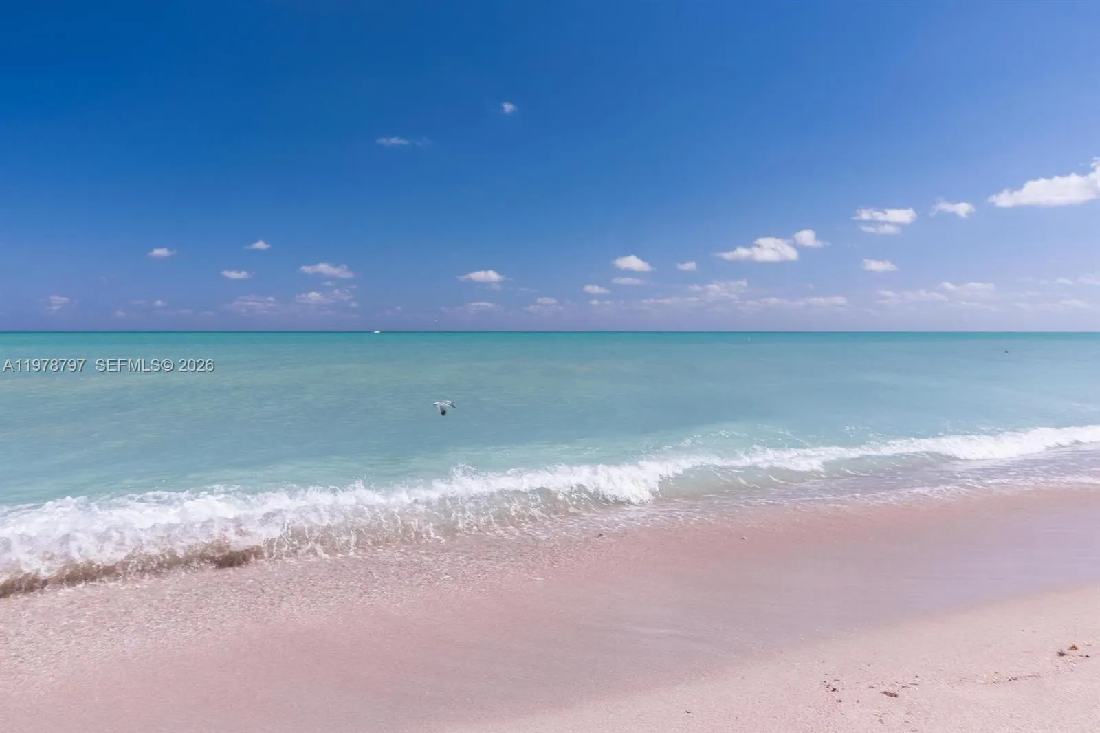 9195 Collins Ave 711, Surfside, Florida 33154, Surfside, Florida 33154, 1 Bedroom Bedrooms, ,1 BathroomBathrooms,Residential Lease,For Rent,9195 Collins Ave 711, Surfside, Florida 33154,A11978797